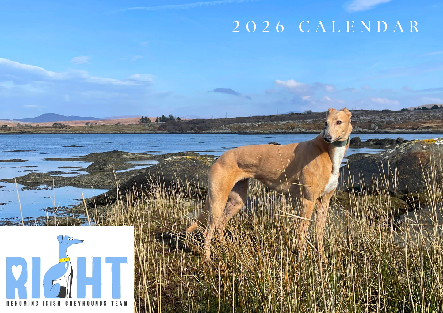 RIGHT Calendar 2026