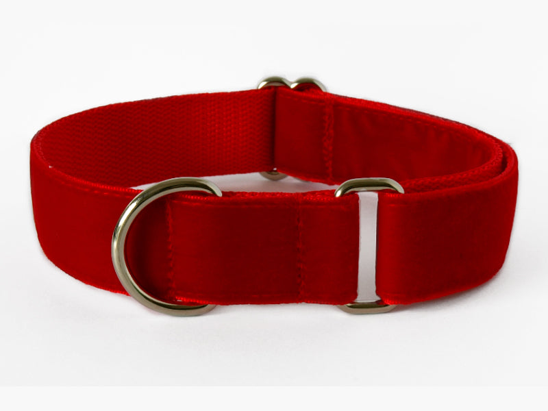 velvet dog collar