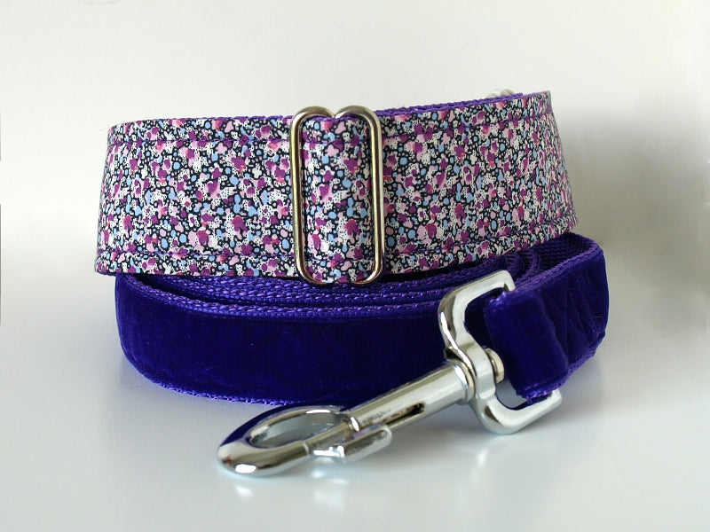 martingale dog collar
