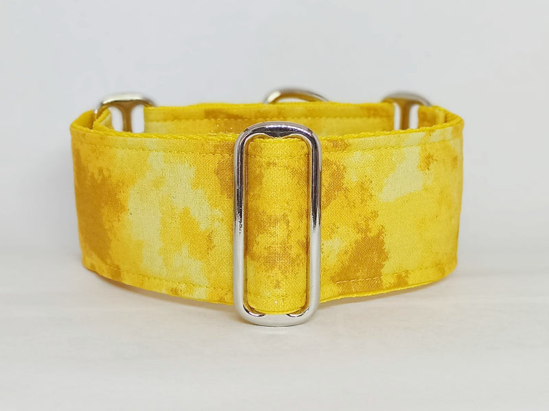 Astro shop dog collar