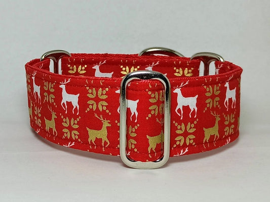 martingale dog collar