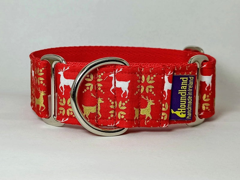martingale dog collar
