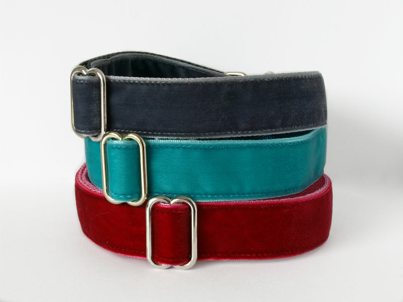 velvet dog collar