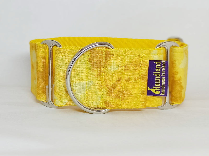 yellow martingale dog collar houndland
